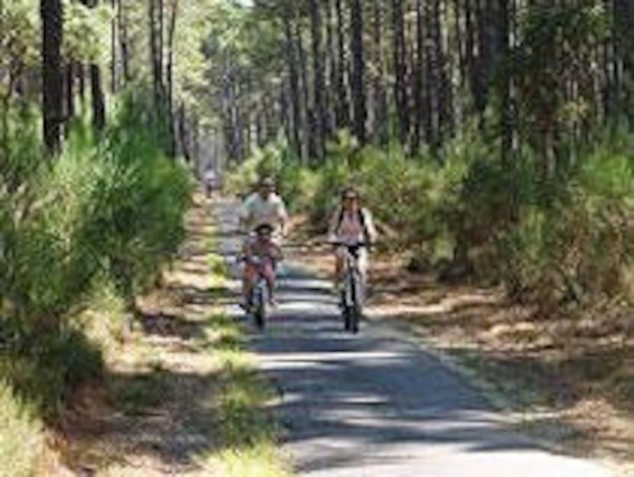 Maison De Vacances 4/5 Personnes A Leon, Landes Exterior foto